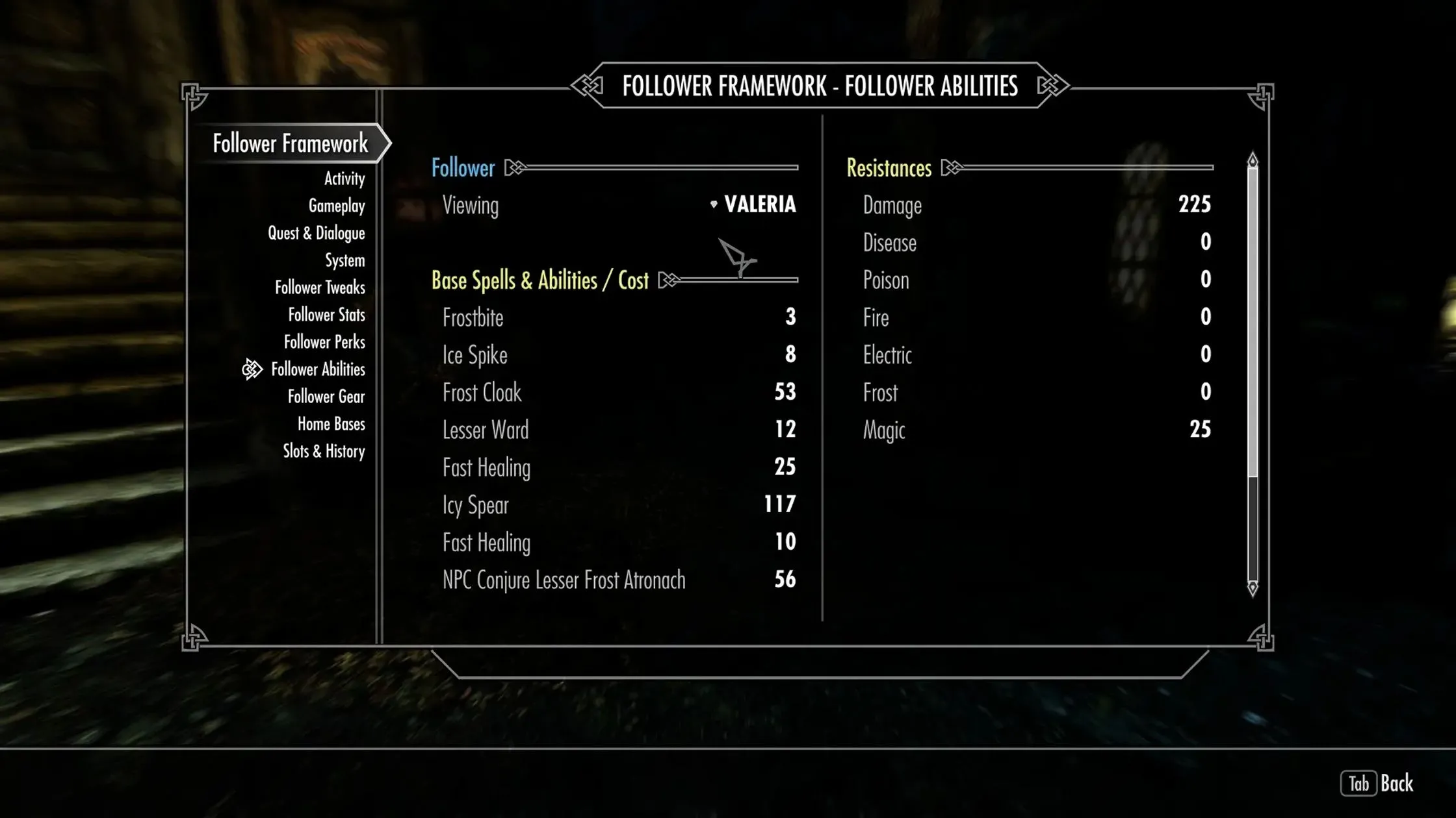 Cảnh trong game của mod Nether's Follower Framework cho Skyrim, hiển thị nhiều người đồng hành cùng lúc