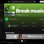 Chụp màn hình hiển thị danh sách phát nhạc riêng biệt cho công việc và nghỉ ngơi trên Spotify
