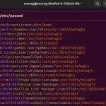 Giao diện công cụ Bat hiển thị mã với highlight syntax và số dòng trên Linux