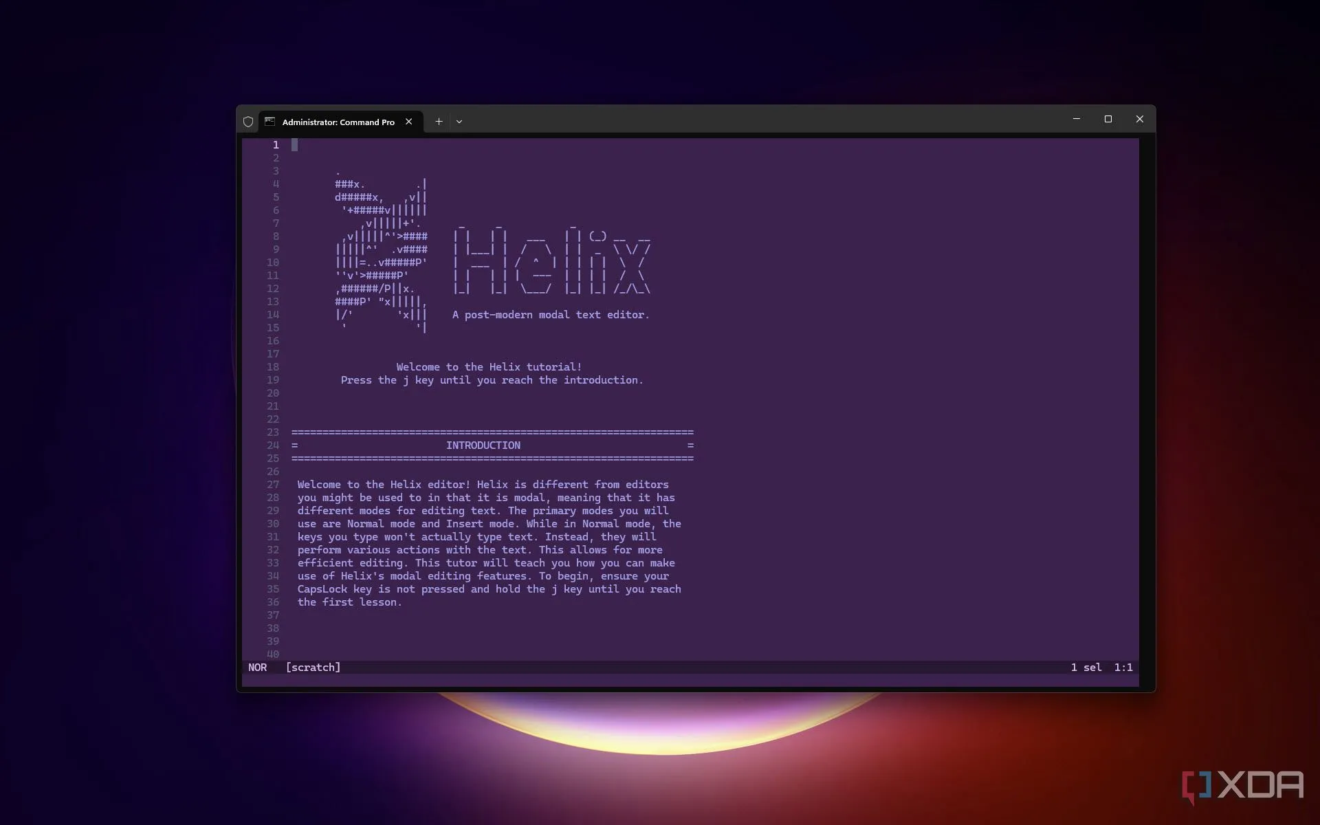 Docker Desktop: Trải Nghiệm Self-Hosting Không Cần Code – Khả Thi Hay Hạn Chế?