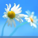 Máy tính để bàn Windows 8 thiếu nút Start