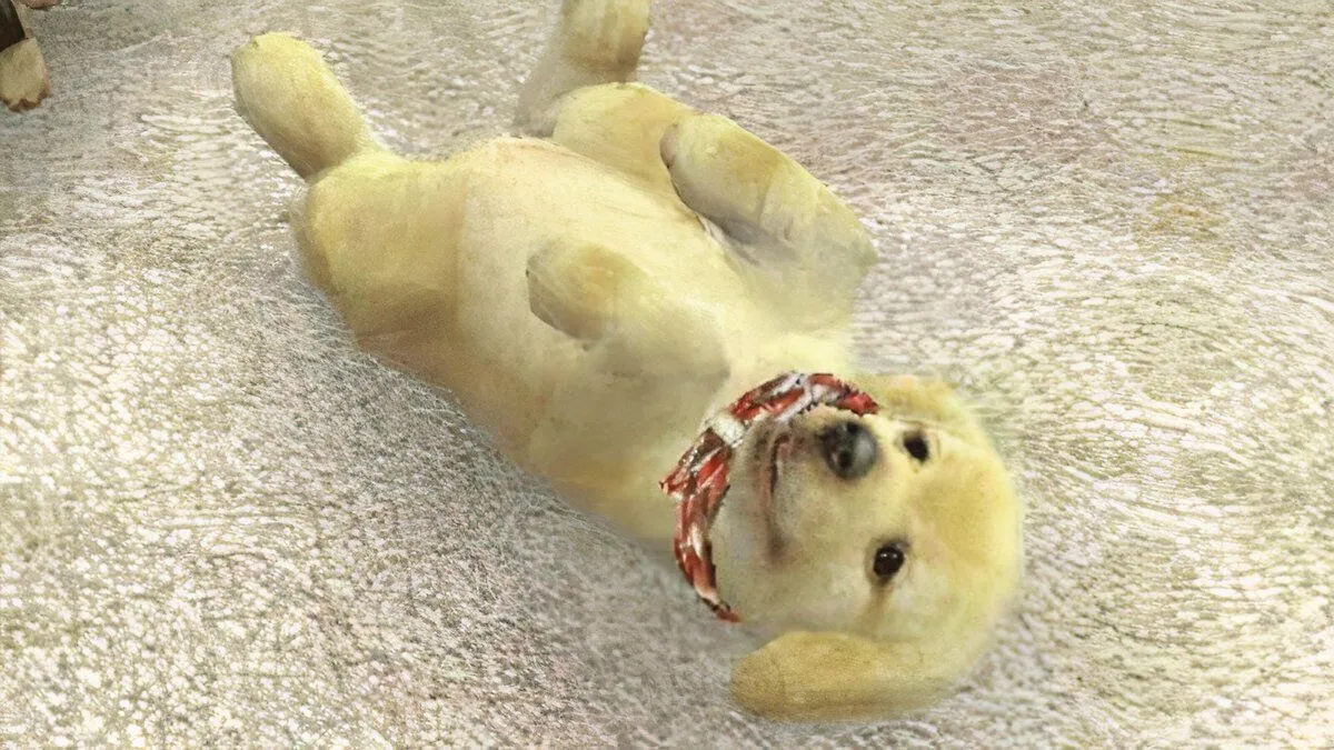 Một chú chó Golden Retriever đáng yêu trong game Nintendogs, minh họa tiềm năng trở lại của series trên Switch 2.