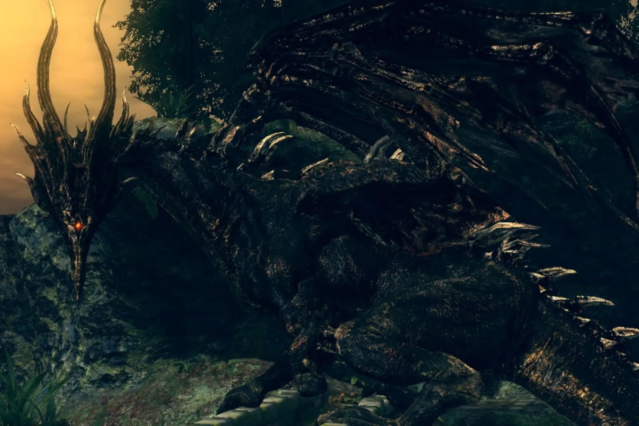 Rồng đen Kalameet hung dữ nhìn chằm chằm trong Dark Souls