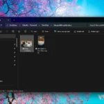 Thư mục "Mouse Without Borders transferred files" trong File Explorer hiển thị các tệp đã được chuyển đổi giữa các thiết bị.