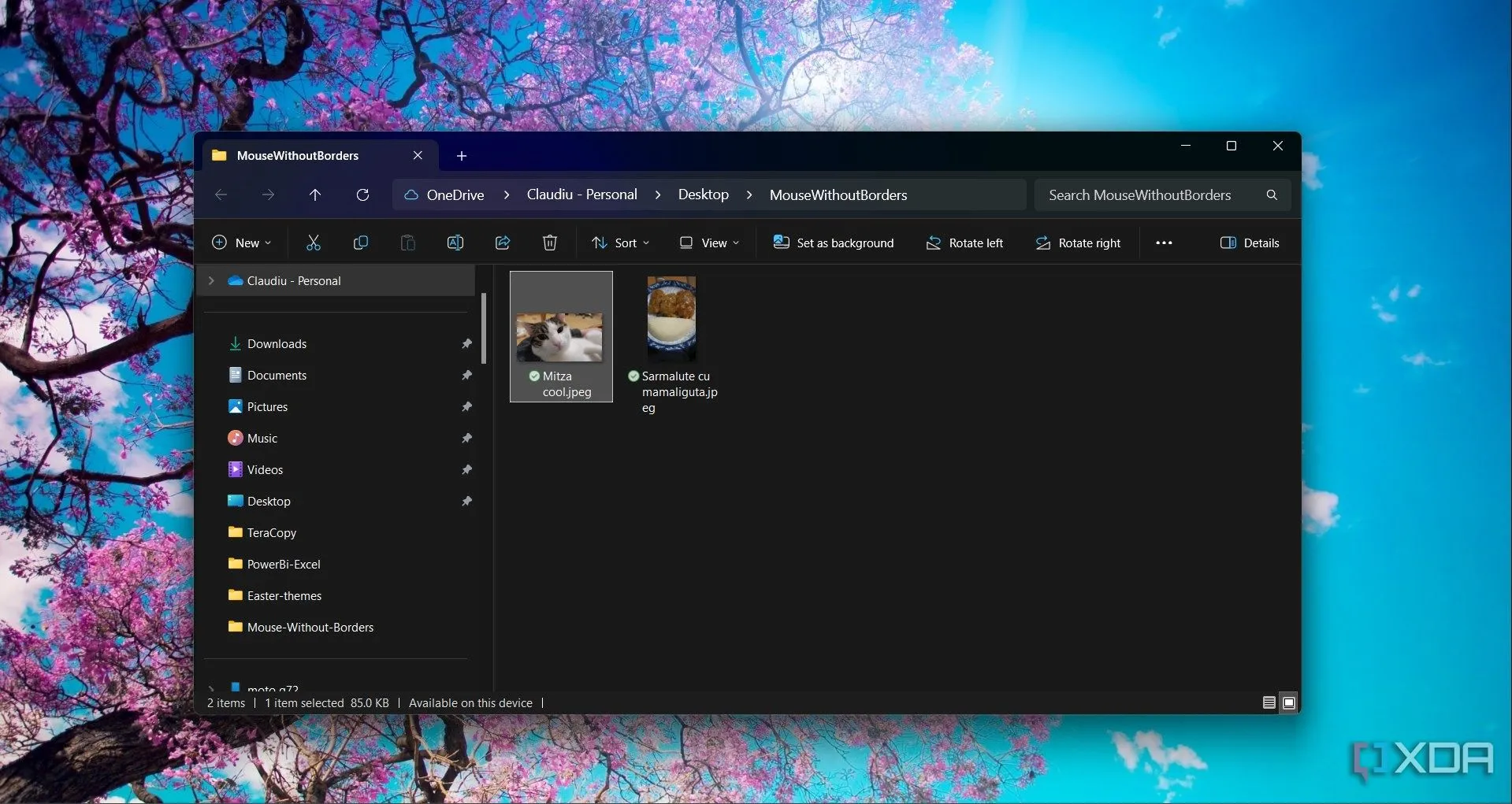 Thư mục "Mouse Without Borders transferred files" trong File Explorer hiển thị các tệp đã được chuyển đổi giữa các thiết bị.