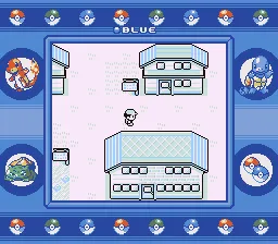 Trainer và Pokémon đối mặt trong trận đấu trên phiên bản Blue