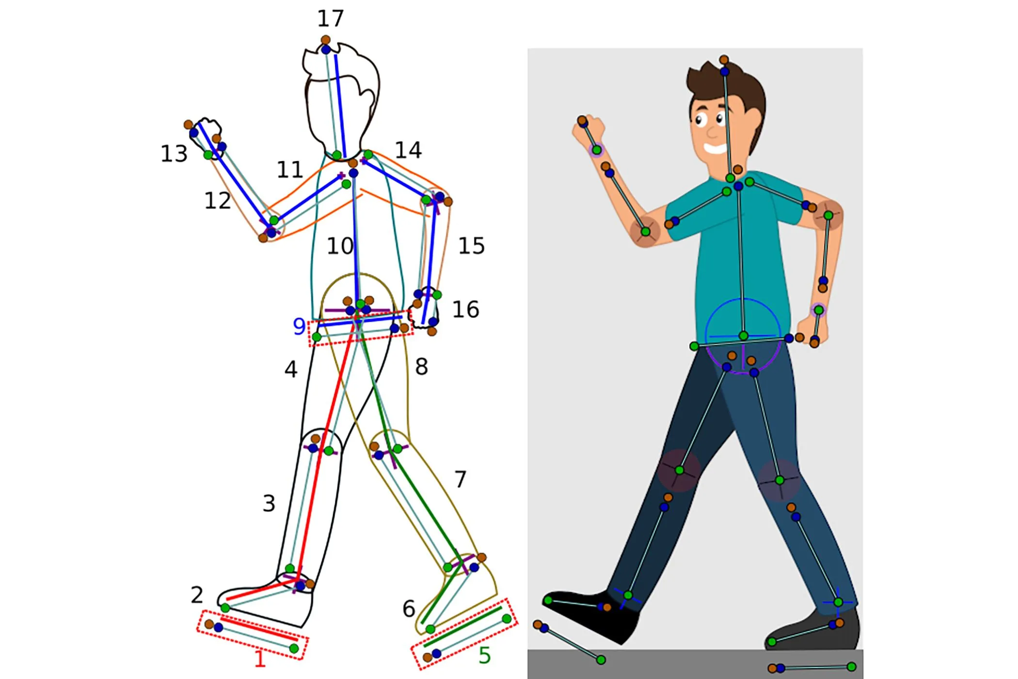 Ví dụ hoạt hình cấu trúc xương trong Synfig Studio, cho thấy cách áp dụng xương và khớp để tạo chuyển động đi bộ mượt mà cho nhân vật 2D