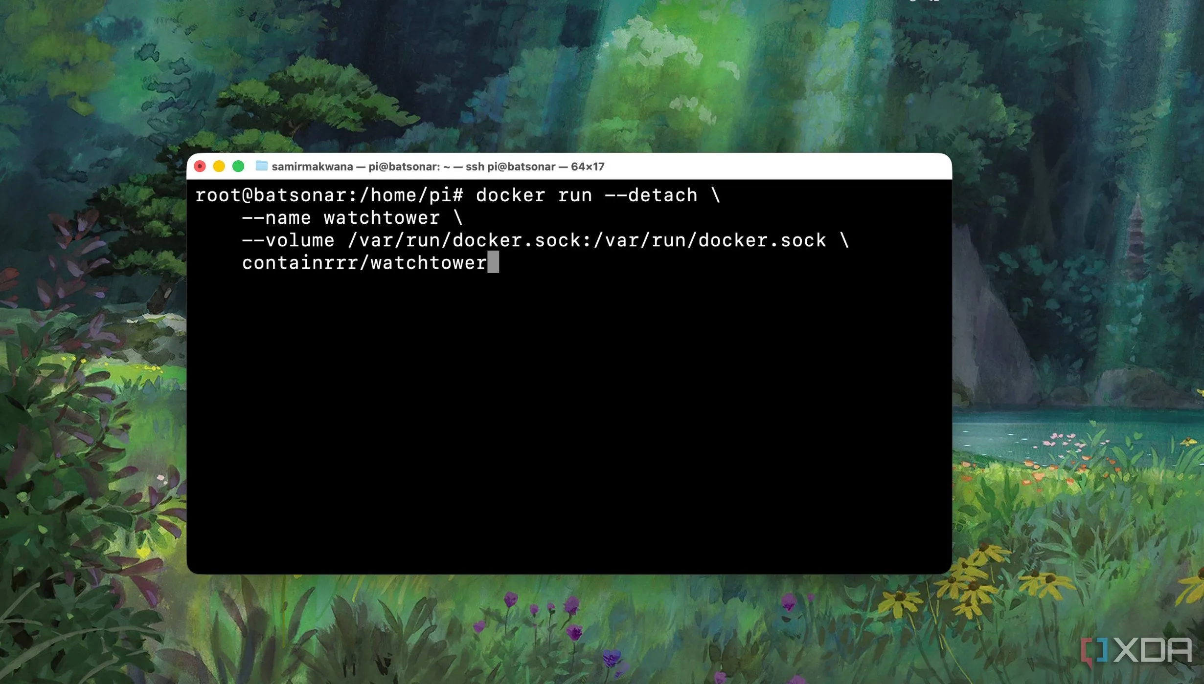 Ví dụ lệnh docker run trong Terminal với các tham số cấu hình