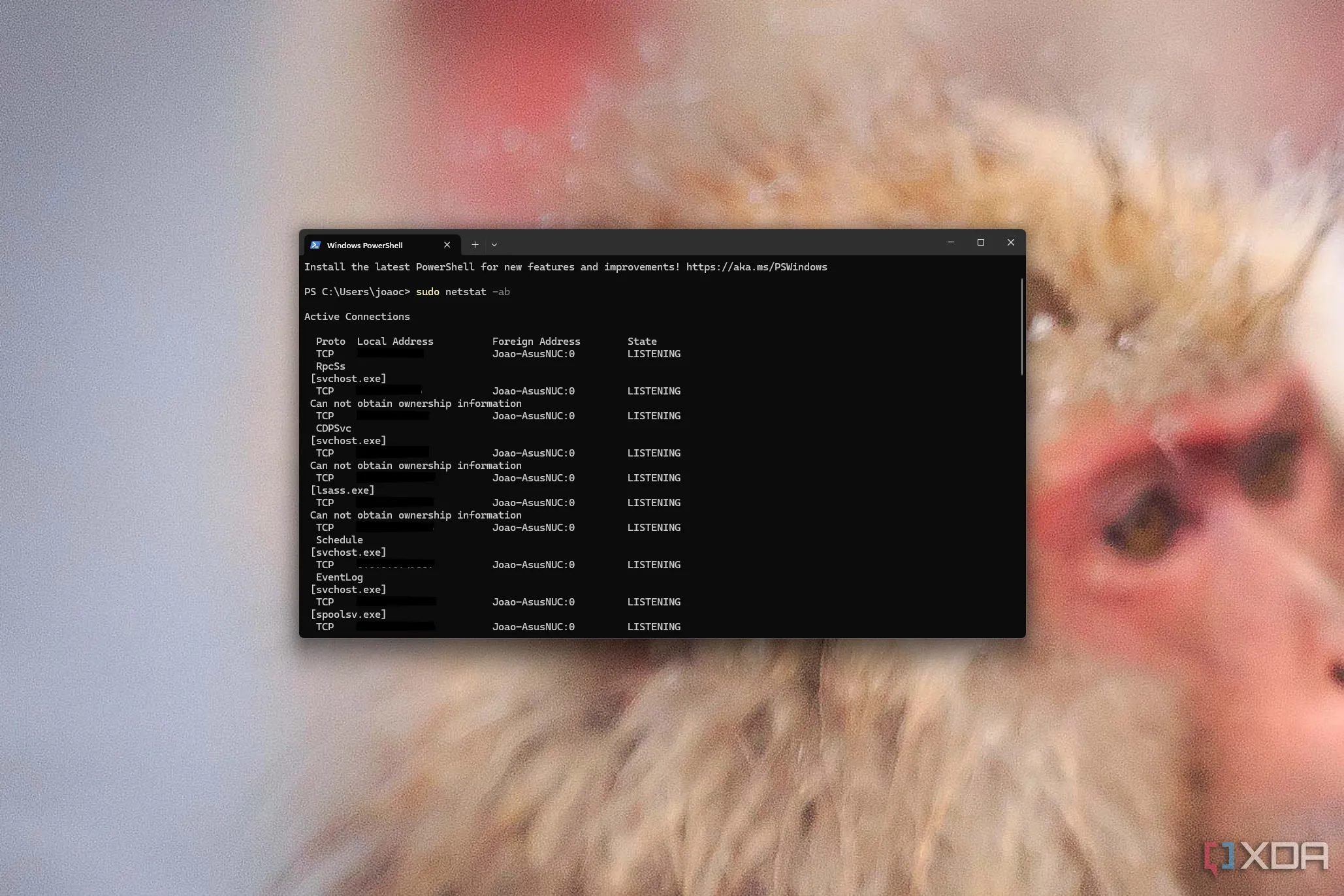 Windows Terminal đang chạy một lệnh quyền cao bằng sudo